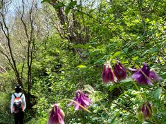 -白草畔自然风景区
