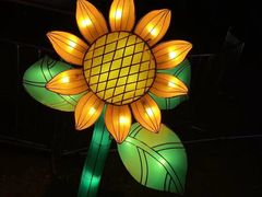 -武汉园博园(武汉自然博物馆)