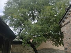 -常家庄园
