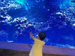 -华夏文旅海洋公园