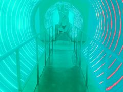 -朝阳公园游乐园