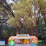 除了咖啡本身的味道，你还关注什么呢