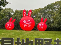 -同里国家湿地公园