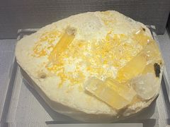 -湖南省地质博物馆