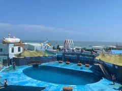-海合安青岛极地海洋公园
