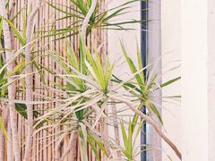 -云里小坐·小院里·团建·宴请·下午茶(三圣乡店)