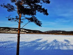 -北极村旅游风景区