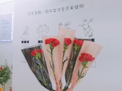 -子午孕教·孕妇瑜伽产后恢复(市北店)