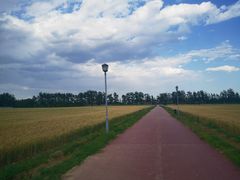 -瀛海足球主题公园