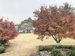 -龙头寺公园