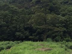 -雁荡山雁湖景区