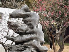 -无锡梅园公园
