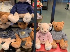 -济州岛泰迪熊博物馆