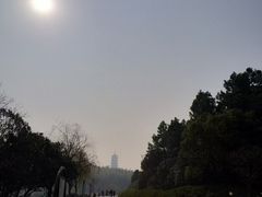 -宜兴龙背山森林公园