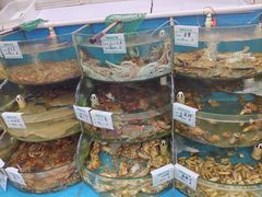 -叶存利海鲜大馅饺子(海宁路总店)