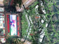 -呀诺达热带雨林