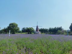 -渔岛海洋度假区