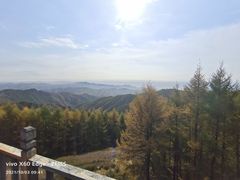 -苏木山森林公园