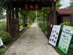 -上海长兴岛郊野公园