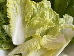-蒙星月涮肚火锅城(宏运家园店)