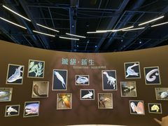 -香港科学馆