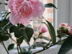 -三旗百汇商品城