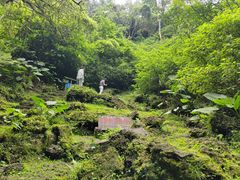 -海口火山口国家地质公园