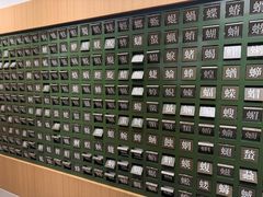 -白鹭湾湿地公园