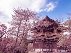 -西安青龙寺遗址景区