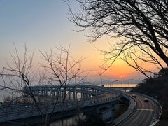 -星海湾跨海大桥