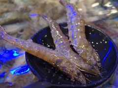-澜悦港海鲜体验主题餐厅