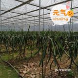 160元带娃拥抱大自然