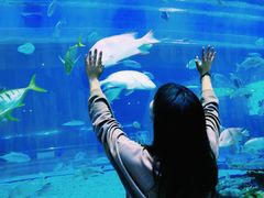 -华夏文旅海洋公园