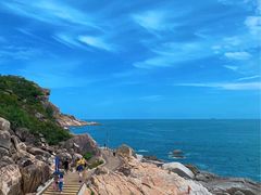 -广东惠东海龟国家级自然保护区