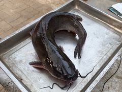 -姥家大锅台水库渔家
