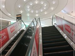 -姚姚酸菜鱼·金戈戈香港豉油鸡(喜荟城联名店)