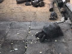 -卡塞拉自然公园