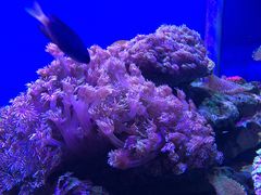 -洛阳龙门海洋馆