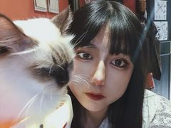 -猫色咖啡·猫咖