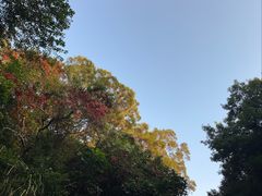 -东部华侨城