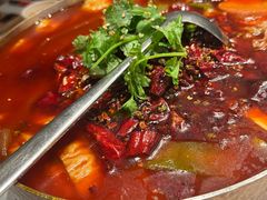 -星·South Beauty·俏江南(国贸店)