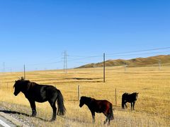 -青海湖国家重点风景名胜区