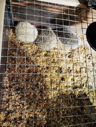 -酷嗒动物文化乐园(cutezoo西溪乐天城店)