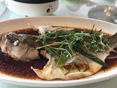 清蒸鲈鱼-大鸭梨烤鸭(石佛营店)