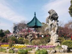 -无锡梅园公园