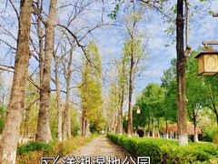 -洋湖国家湿地公园