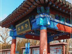 -莲花池公园