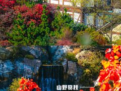 -九如山休闲旅游度假区