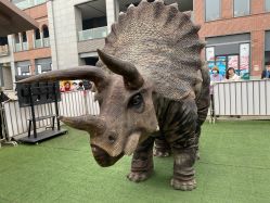 -恐龙探索乐园(磁器口店)