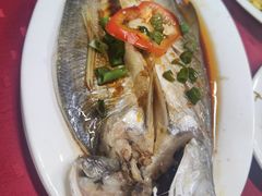 -蛇口康乐快餐鱼仔档(翠苑小区店)